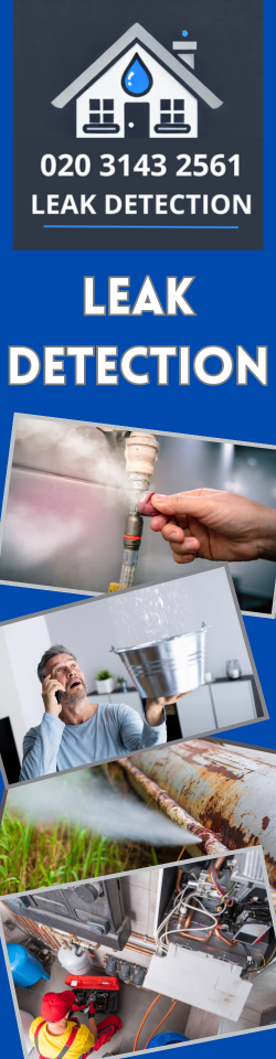 Hampton Court Palace Leak Detection
