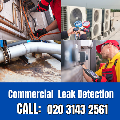 Commercial Leak Detection Services in Hampton Court Palace | Hampton Court Palace Leak Detection