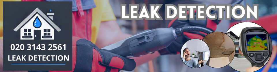 Hampton Court Palace Leak Detection