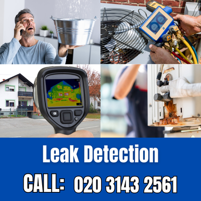 Comprehensive Leak Detection Services in Hampton Court Palace | Hampton Court Palace Leak Detection