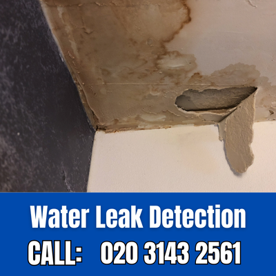 Expert Water Leak Detection Services in Hampton Court Palace | Hampton Court Palace Leak Detection